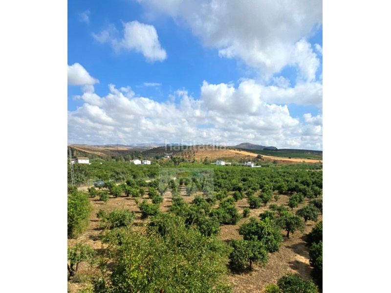 Foto f376efc3-5a27-4acd-8f70-42c0be05825e. Masia a Álora