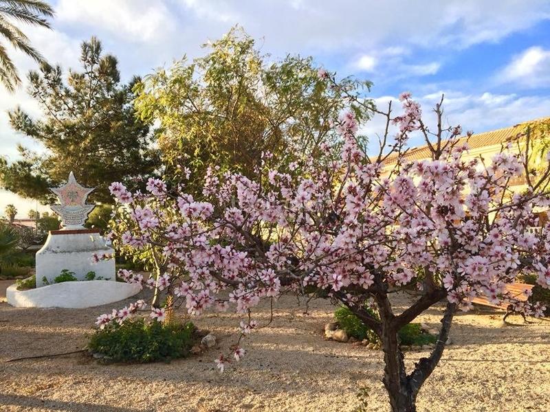 Foto 6d7e4e53-38a8-461a-8e71-9fc1b4fd64da. House with parking pool in Los Urrutias Cartagena