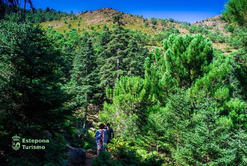 Foto e59fdb9b-f5a5-45cb-9dd1-bf22126e8bed. Piccolo appartamento con parcheggio in puerto de Estepona Estepona