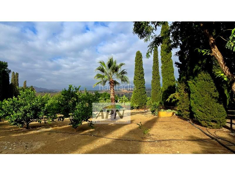 Foto 720b1693-9ac3-45c8-974d-73312ea9c694. Casale in Pizarra