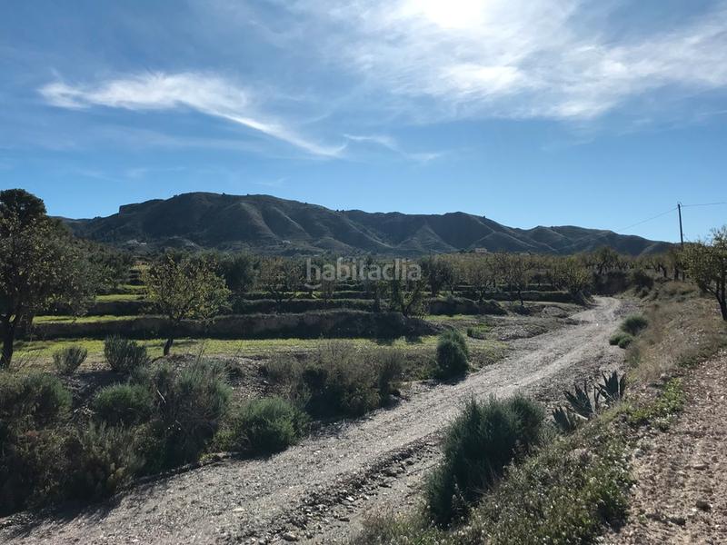 Foto 6632d32d-7967-41c3-b521-3414b5636bab. Masía en Parrilla Lorca