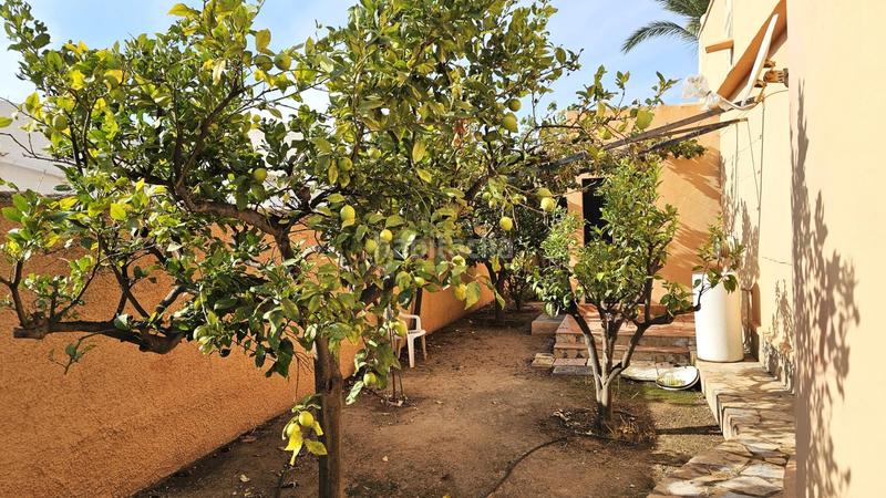 Foto 72aefa3a-07f0-4972-b379-af6642bed4d3. Haus mit pool in Zona Carrefour - Urbanizaciones Torrevieja