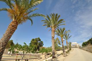 Local commercial à Abanilla