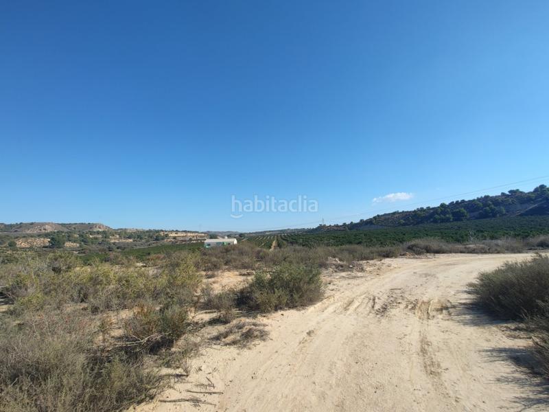 Foto 60c0a573-c59a-4819-ad44-04690c6cb2f9. Masia a Desamparados - Hurchillo - Torremendo Orihuela