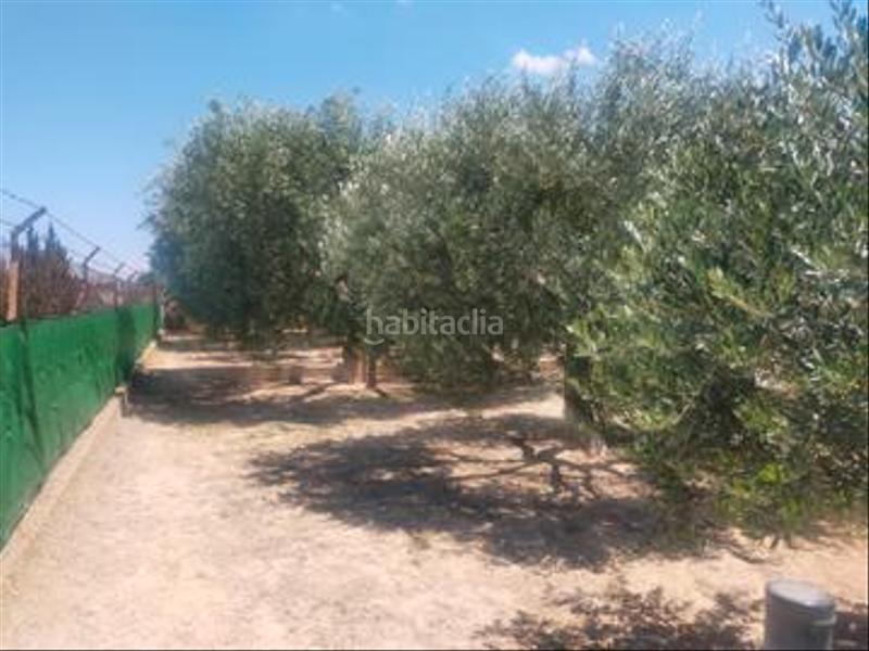 Foto 7205ed57-9eb0-41de-8f8b-d23550f2d17c. Haus in Carrús Oeste Elche / Elx