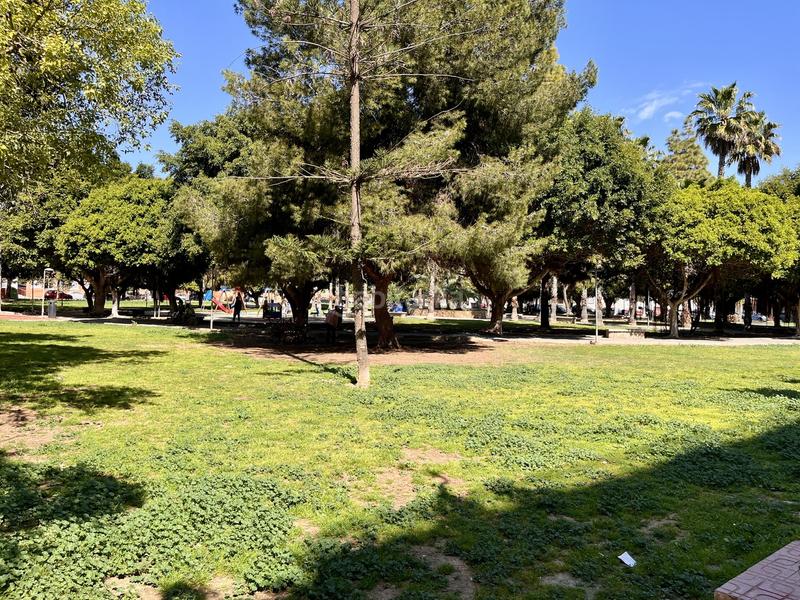 Foto 790afd3d-ca96-4fc1-9832-cd452f4600f1. Apartament a El Molino Torrevieja