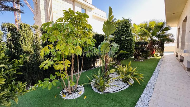 Foto 8a190029-51cb-4f6e-af41-cc46fbcdb719. Casa en La Zenia Orihuela