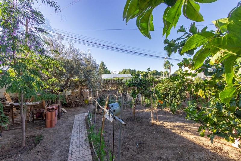 Foto 199a686b-566d-483a-8d91-aa8544b76f46. Haus mit pool in Los Balcones-Los Altos Torrevieja