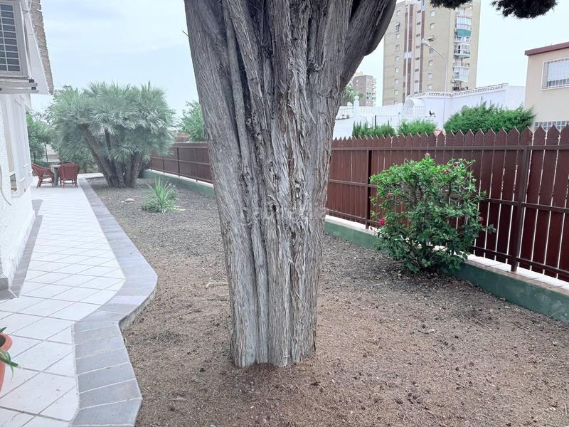 Foto b9f99bb2-e68e-4a75-b7e6-ddd59fb4df94. Haus in Campoamor Orihuela