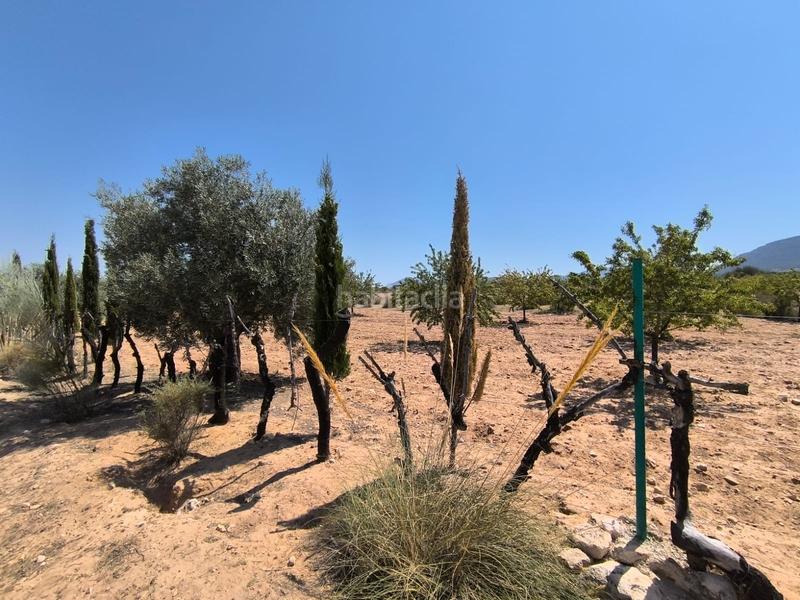 Foto 267fb490-34ef-4ee8-9186-69fe7da78490. Bauernhof mit parking in El Rabal Villena