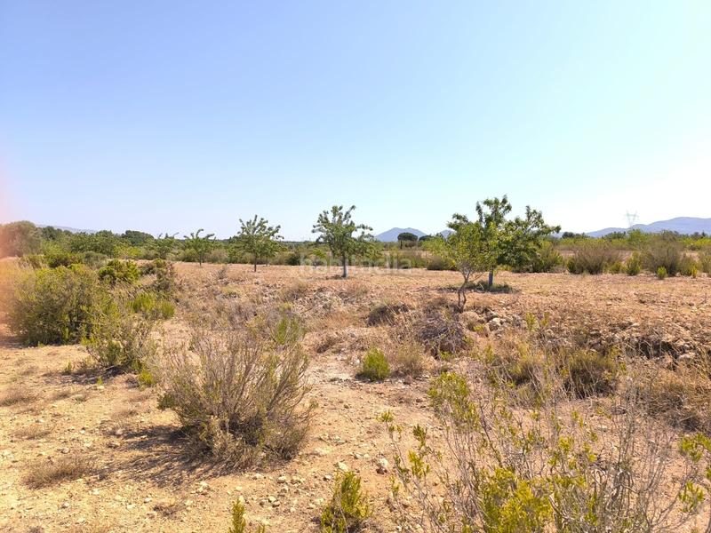 Foto f8d117c6-217e-4d14-9603-045bab85664f. Mas avec parking dans El Rabal Villena