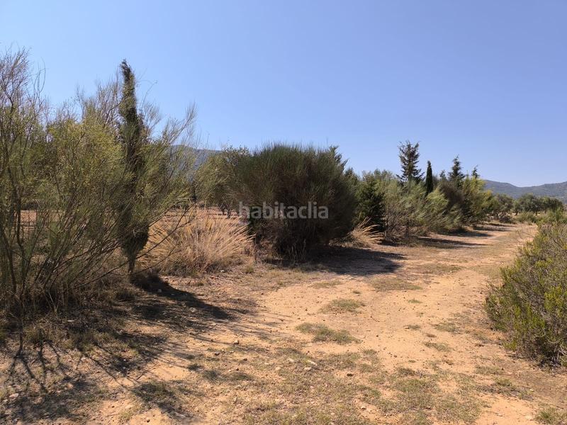 Foto dafe3f2d-7349-4edc-b407-8e90aebf9a0e. Masia amb aparcament a El Rabal Villena