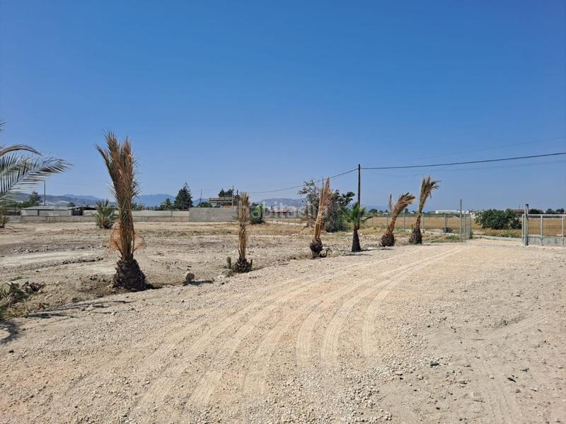 Foto 66f3bf97-cdc1-4ab0-a811-9fa026b3c79a. Bauernhof in Desamparados - Hurchillo - Torremendo Orihuela