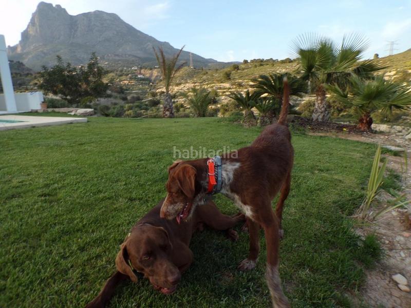 Foto d7b5781c-b6f4-4742-b14e-6cd5405f5093. Maison dans Golf Bahía Finestrat