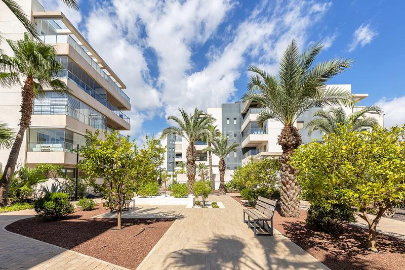 Foto 9cc390d6-48b4-4d6e-8acc-7d1d6af4dd08. Apartamento en Villamartín-Las Filipinas Orihuela