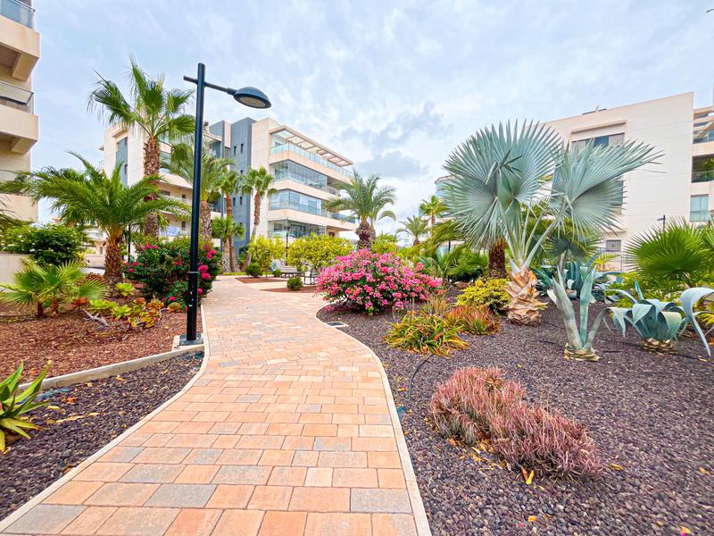 Foto d79df264-9488-4255-bf35-792998396752. Piccolo appartamento in Villamartín-Las Filipinas Orihuela