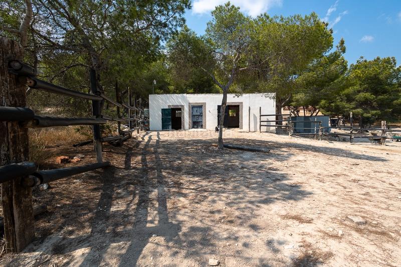 Foto 0bb3ca0f-8f01-48e6-9bb4-f1bc8abbc386. Bauernhof in Desamparados - Hurchillo - Torremendo Orihuela