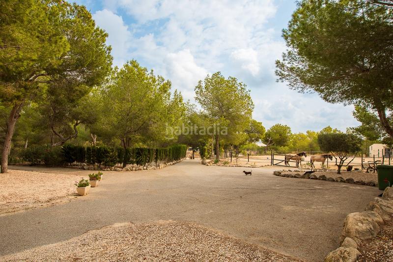 Foto ad38692f-53a2-422d-ba44-07b7175b0260. Bauernhof in Desamparados - Hurchillo - Torremendo Orihuela