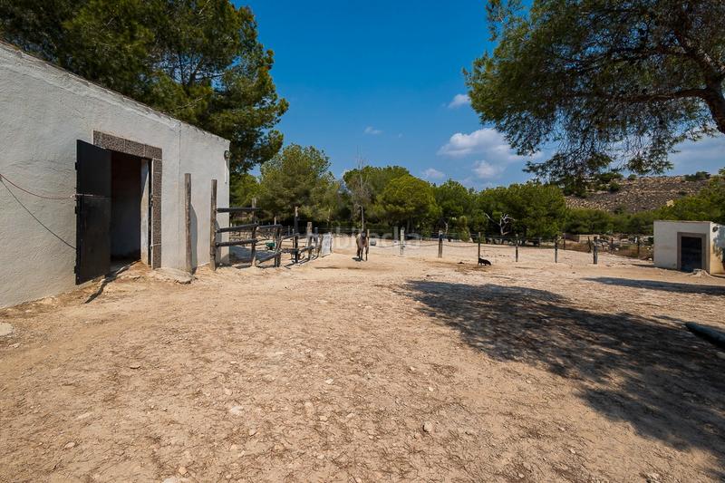 Foto 37492d3a-0db6-4941-bc7a-ff28c5586180. Country house in Desamparados - Hurchillo - Torremendo Orihuela