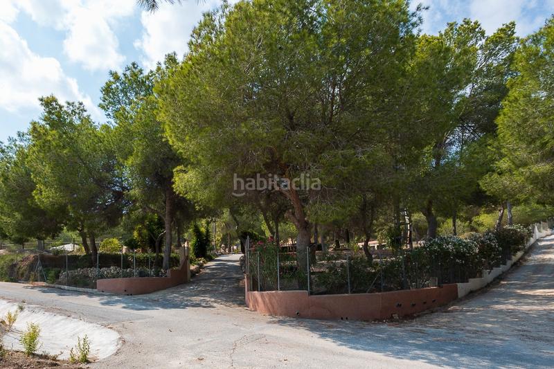 Foto 0f817ee7-144b-4f73-bd8b-b97c879aff72. Masia a Desamparados - Hurchillo - Torremendo Orihuela