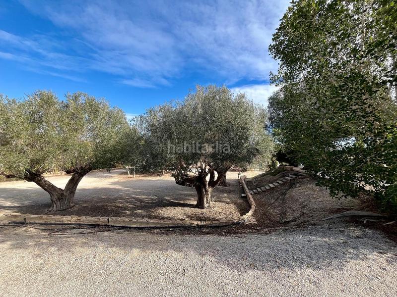 Foto b2b1ce05-6c2b-456a-9526-42c4304a18a2. Casale in El Esparragal Murcia