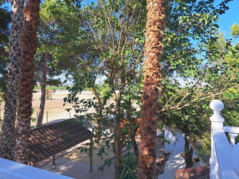 Foto c741f75d-586c-4a79-9c3e-43d1e4b9374c. House with pool in Orihuela ciudad Orihuela