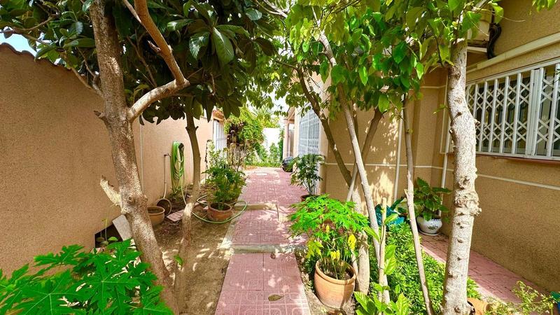 Foto e7ab0e85-f692-4a61-9942-6ce3ce5b1b9d. Haus mit pool in Los Balcones-Los Altos Torrevieja