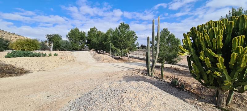 Foto 3905b1a6-ec73-44e8-8158-37ad51852250. Casa en Montepinar - La Aparecida - Raiguero Orihuela