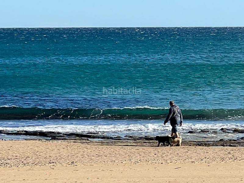 Foto 16a32690-5bbd-4ddd-bdfa-a238a75040e1. Casa adossada a Los Europeos Torrevieja