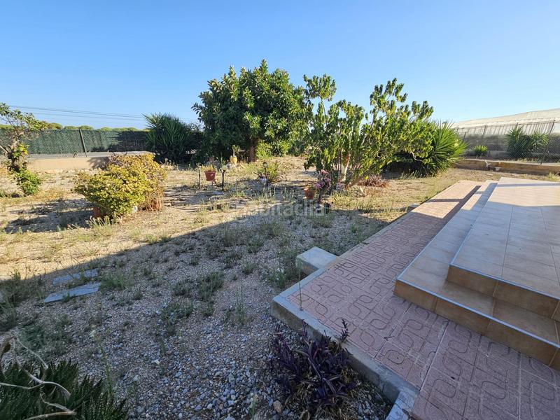 Foto e04bdc6c-3a89-48b8-b1ae-553f75ff2bed. Bauernhof in Buenavista Guardamar del Segura