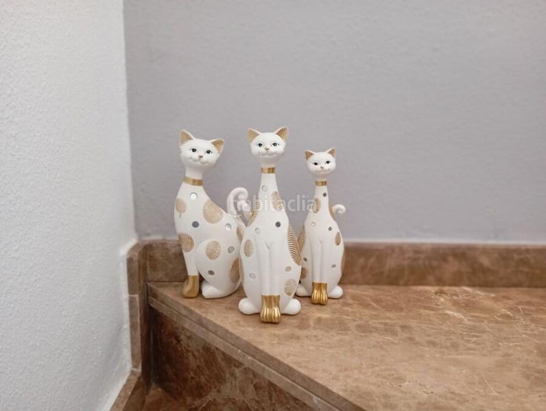 Foto 71f0cded-ce89-461e-bd6d-a5da7b48682a. Casa in Villamartín-Las Filipinas Orihuela