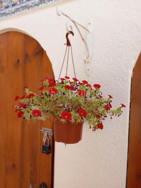 Foto e01c0706-a166-4ab9-a282-41cd96cefd05. Casa in Villamartín-Las Filipinas Orihuela