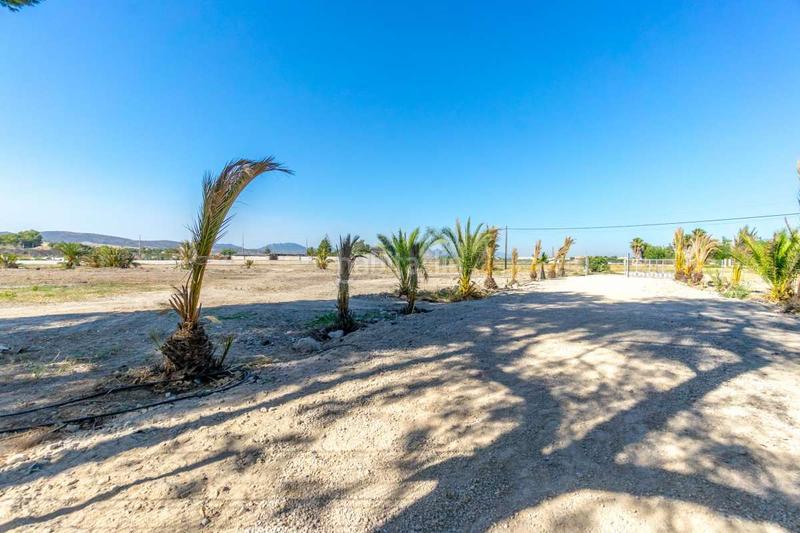 Foto 3fb0710d-61c9-4139-bbfd-b01e67d2745c. Maison dans Desamparados - Hurchillo - Torremendo Orihuela