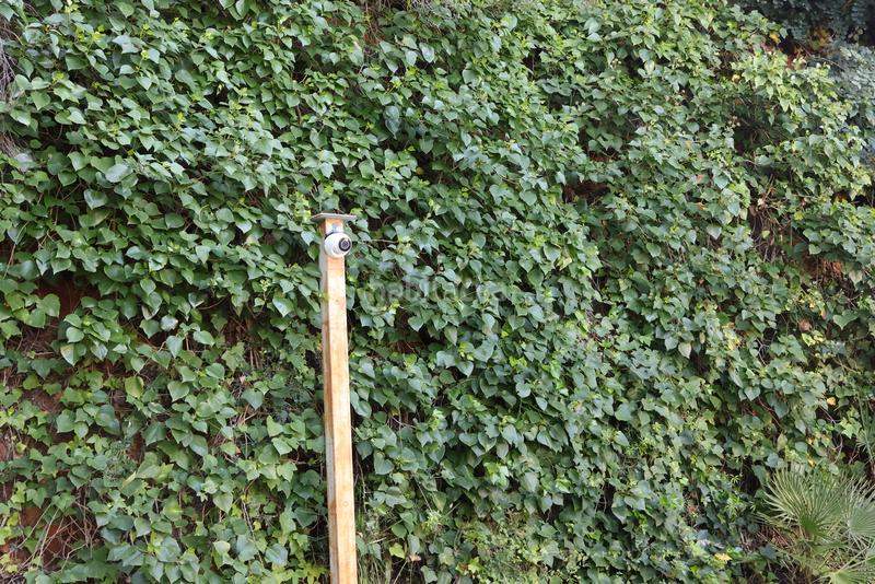 Foto d1583392-318a-4861-b79d-876622233f9a. Maison avec piscine dans La Xara-La Sella Dénia