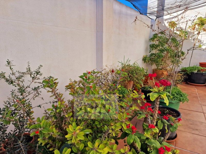 Foto d31c5feb-0aa1-47c6-9bd3-c0c80c3a1b68. Casa adossada a Álora