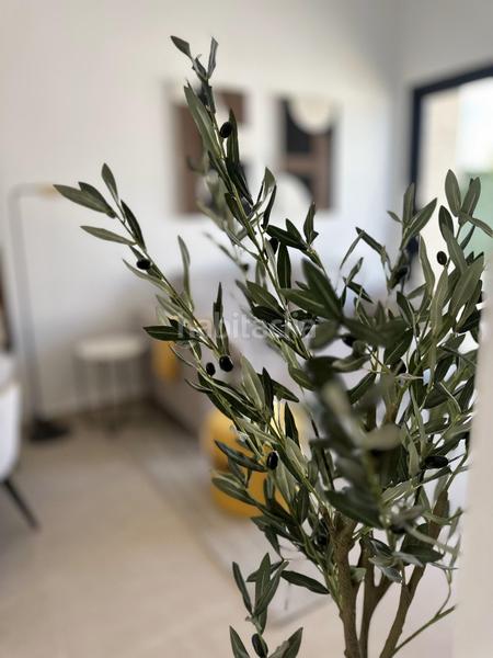 Foto 0fa6e574-16a7-4c68-9ae1-06d67171099c. Casa con parcheggio in San Fulgencio