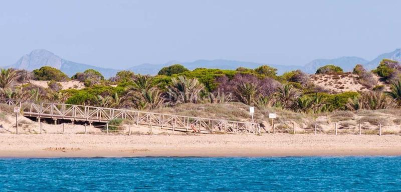 Foto 29676bdd-8013-4c4e-9813-1219a9a57200. Dachwohnung in Pueblo Guardamar del Segura