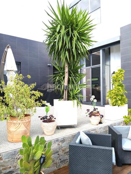 Foto 4afd425a-1257-413d-9a9d-0d90c83ce246. Semi detached house in Campoamor Orihuela