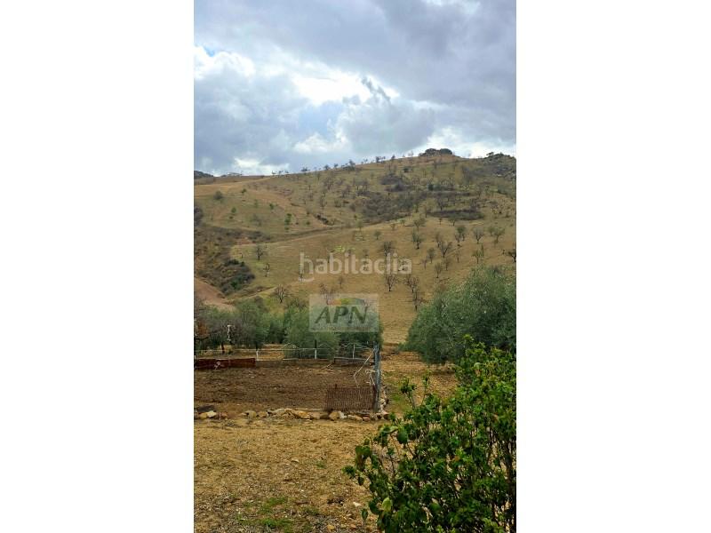 Foto 1bfffff2-2c71-41ae-ad5b-593c4309c2c0. Masia a Álora