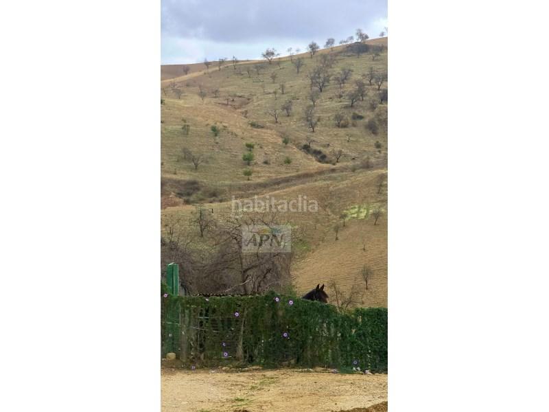 Foto e28482b2-3695-4894-919a-0eaacc27c14e. Masia a Álora