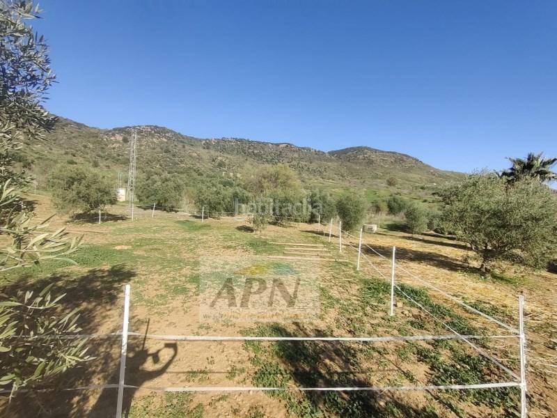 Foto 08e7c1f6-ec82-4a25-bee5-7f74254f0de6. Masía en Villanueva De La Concepción