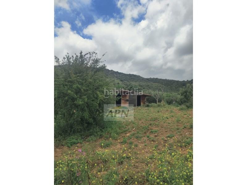 Foto 19673eba-a305-4f83-903a-2fe6d518de74. Masía en Villanueva De La Concepción