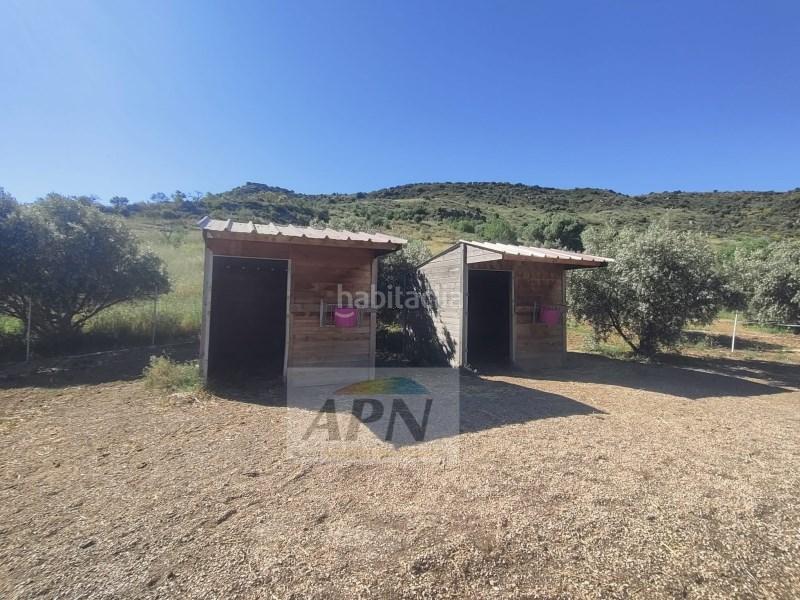 Foto 197c31fc-1ffa-46cd-adfc-d2e62268aef4. Masía en Villanueva De La Concepción