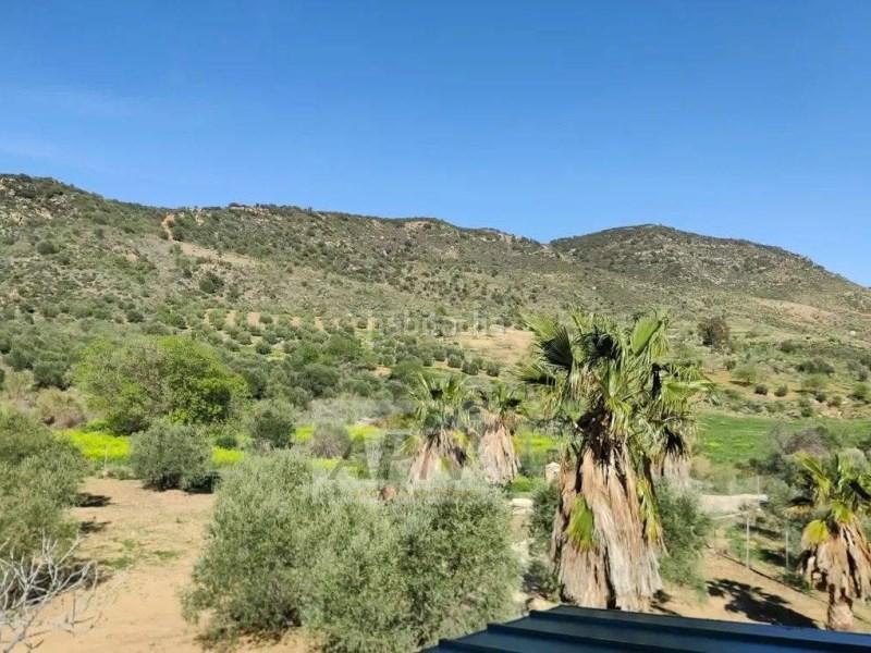 Foto 25120d61-5f7c-4aff-9050-600e02a36549. Masía en Villanueva De La Concepción