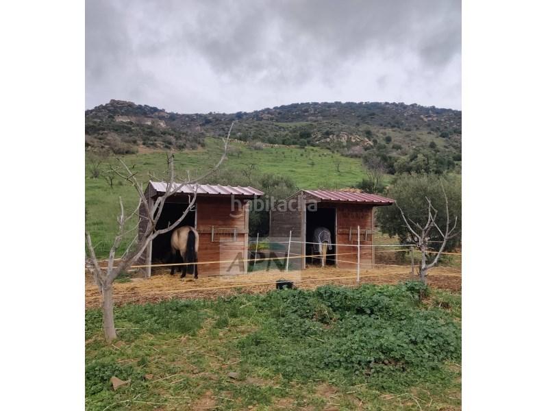 Foto 5a0ee4e7-49d2-4a93-9137-65c7dc66221e. Masía en Villanueva De La Concepción