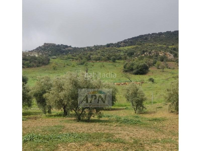 Foto 75e8eedc-553b-4524-9a55-3f85c1607673. Masía en Villanueva De La Concepción