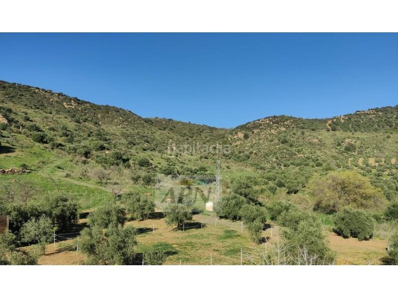 Foto 8d34ee11-1aa0-4d98-9c78-13abb760ec0e. Masía en Villanueva De La Concepción