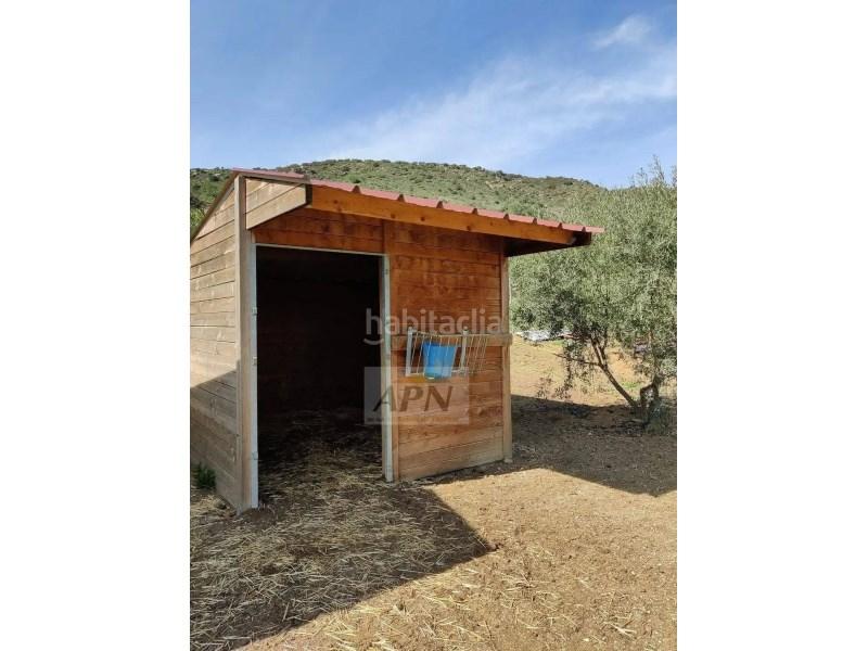 Foto af0d7323-45f9-4b8f-9c06-539240301011. Masía en Villanueva De La Concepción