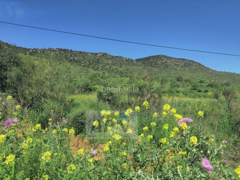 Foto b289988a-5246-4e67-afe7-9e49610c6507. Masía en Villanueva De La Concepción