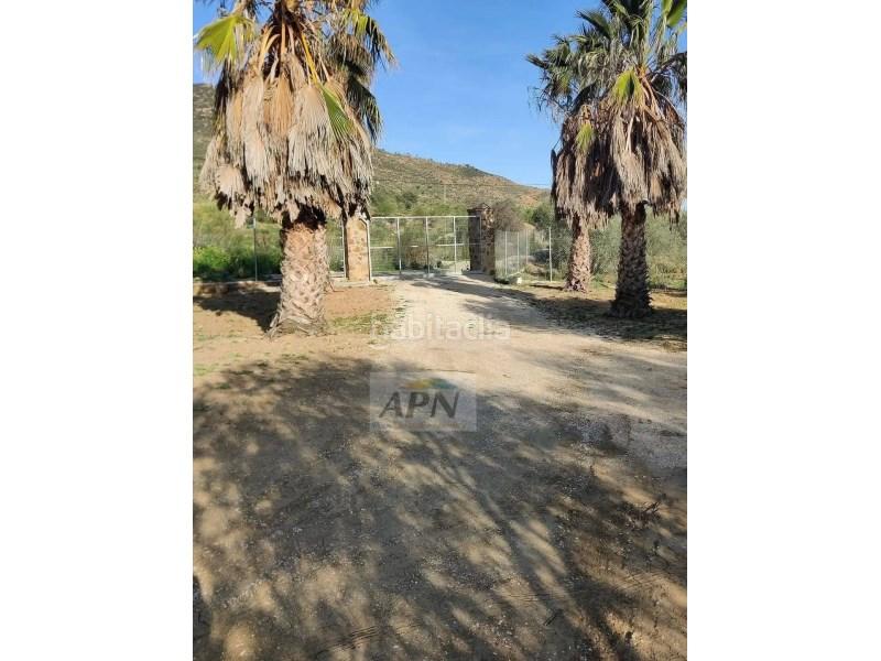 Foto b997e85e-f213-43ed-83d1-a493b30a88cb. Masía en Villanueva De La Concepción